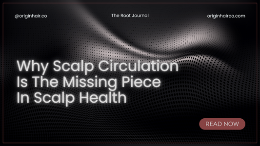 Why Scalp Circulation Is the Missing Piece in Hair Health